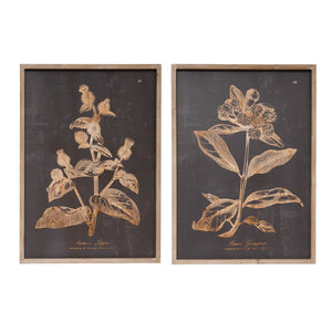DF3322A  19.5"W x 27.5"H Wood & MDF Wall Decor with Botanical Print, Charcoal Color, 2 Styles